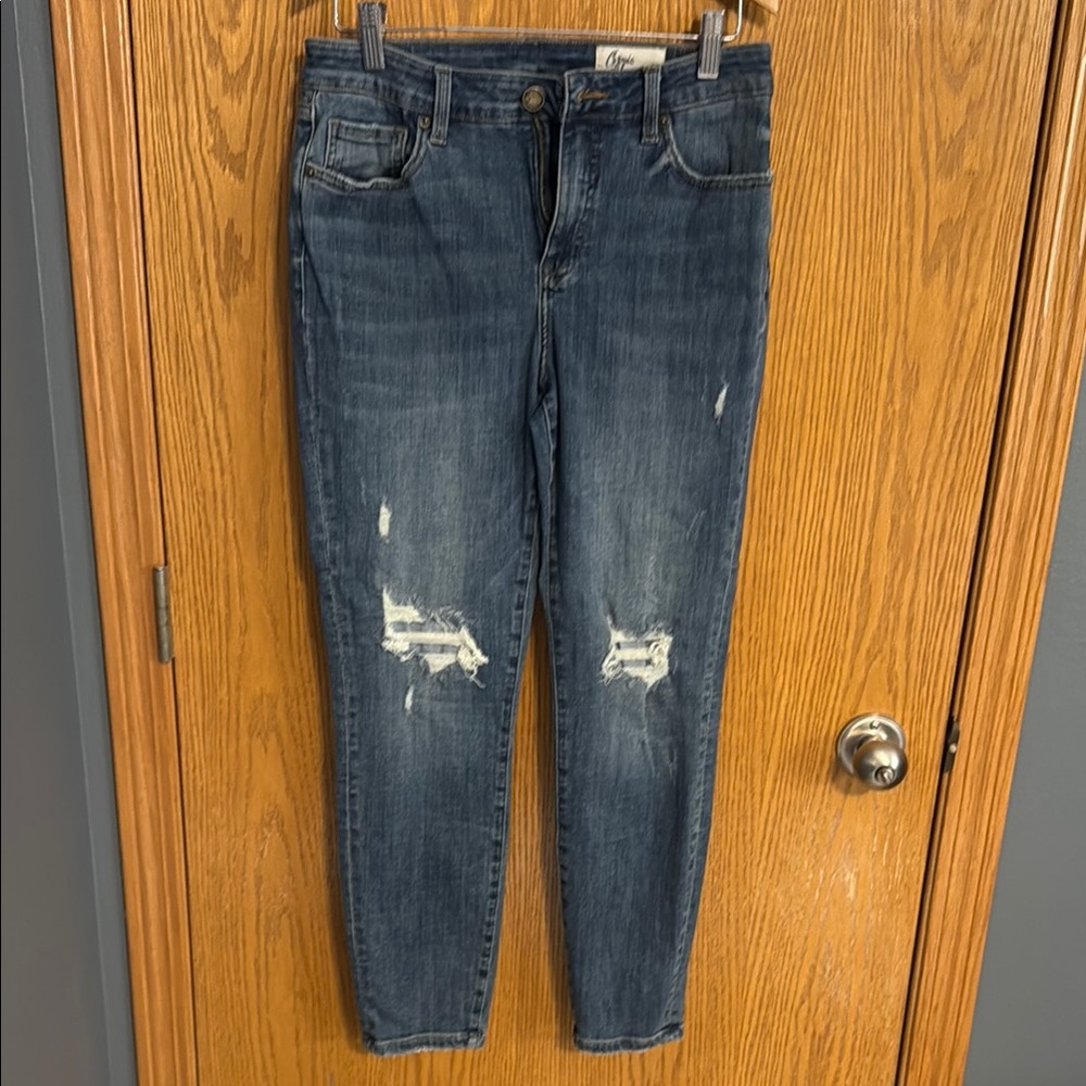 Dark Wash Distressed Skinny Jeans